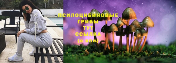 прущие крисы Аркадак