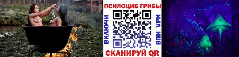 Псилоцибиновые грибы прущие грибы  дарк нет какой сайт  Удомля 
